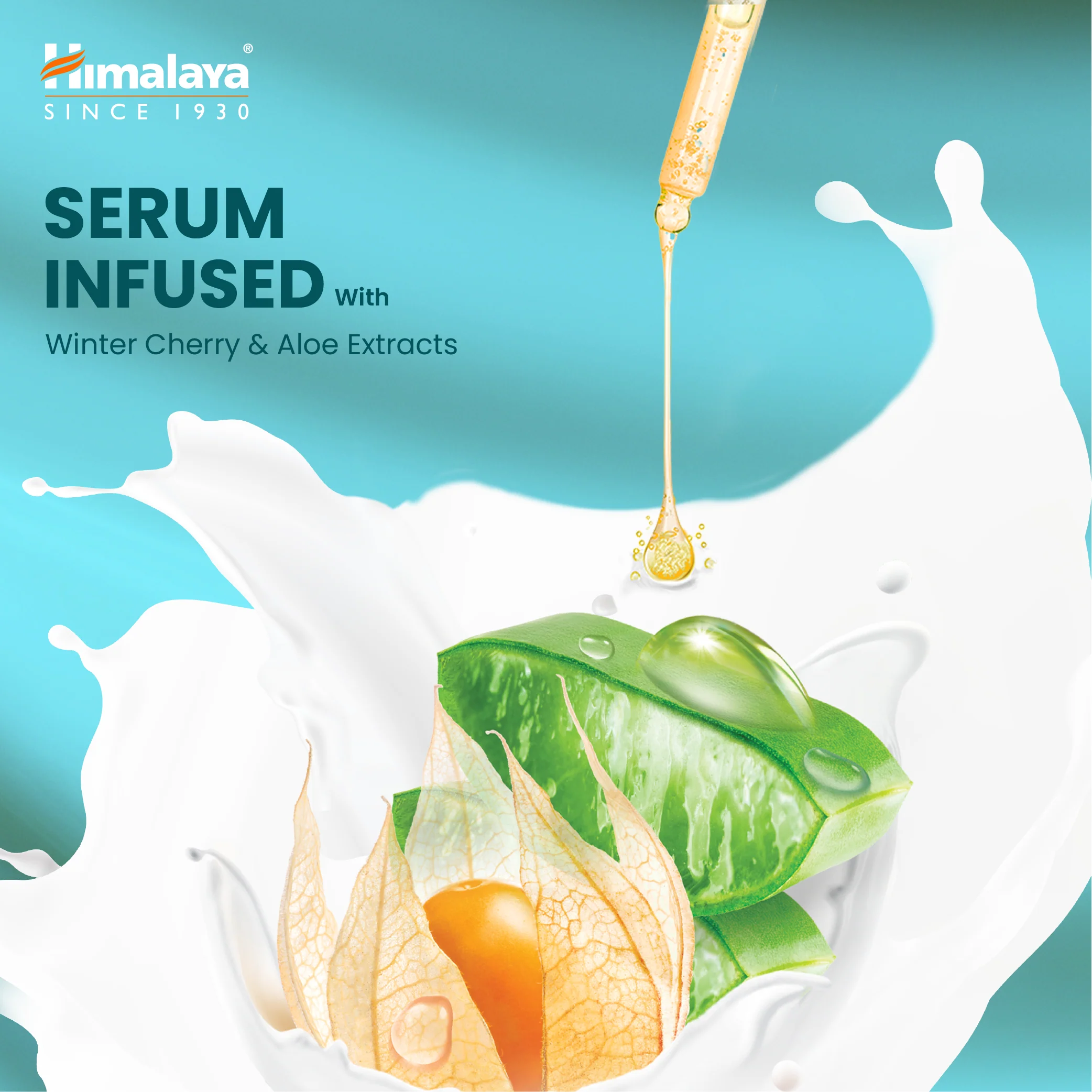 Winter Cherry & Aloe Nourishing Serum Body Lotion - Image 4